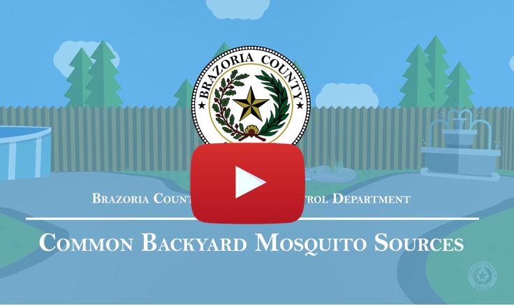 mosquito source video play button