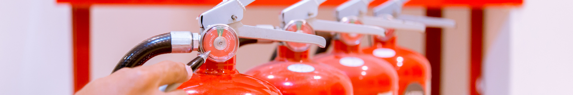 fire extinguishers being inspected