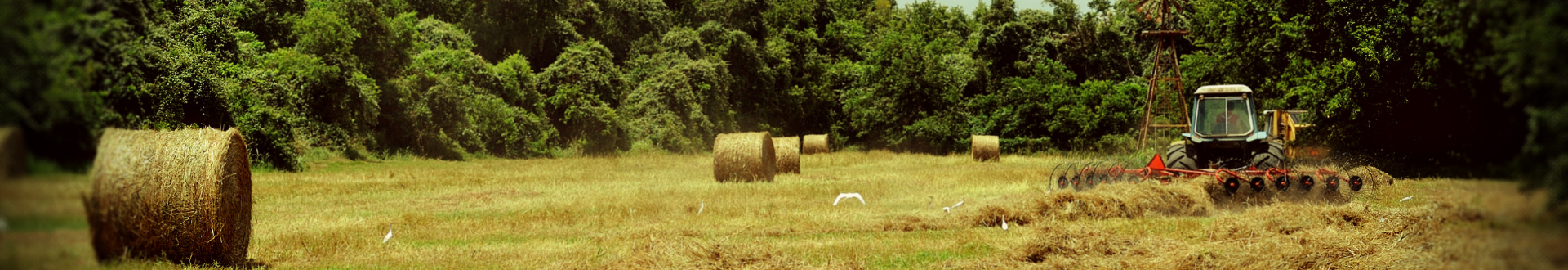 tractor plowing hay