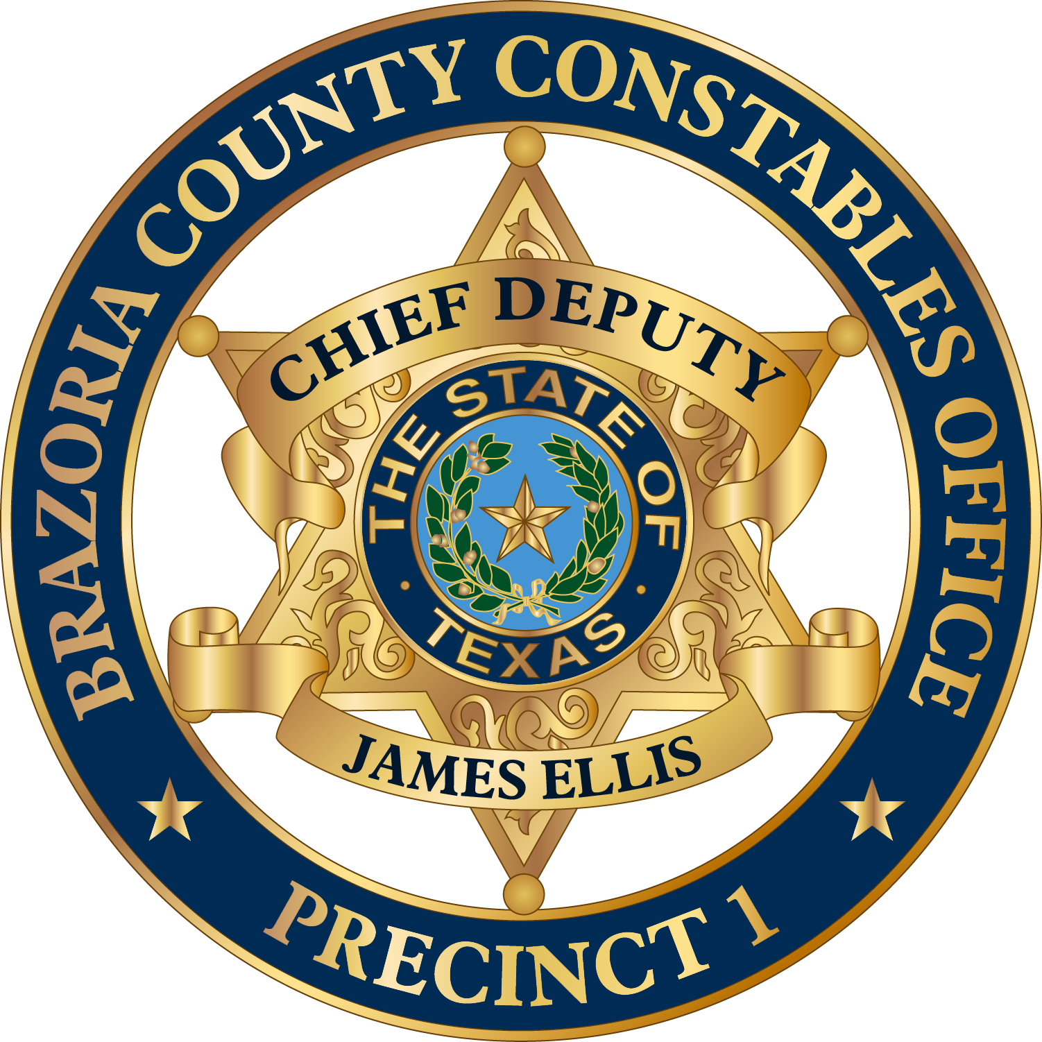 Chief Deputy Badge