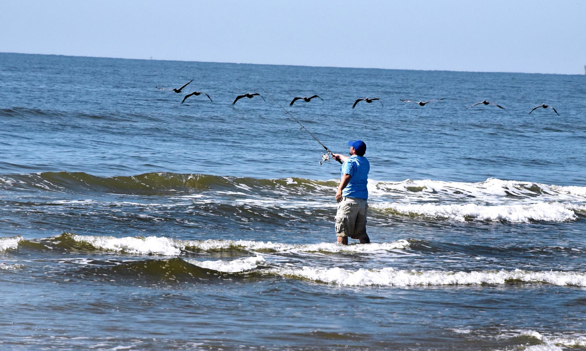man fishing in surf, pelicans near HDR